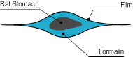Sample Preprocessing