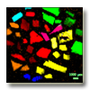 Carbonates Carbonates