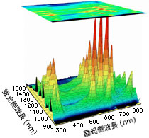 【図1】 励起・発光波長に対する蛍光発光強度（縦軸）のマトリックス