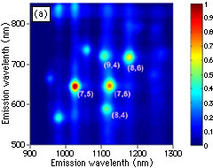 (a) 近赤外蛍光分光