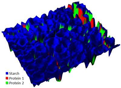 Raman imaging of a thin section of maize cells on a CaF2 substrate