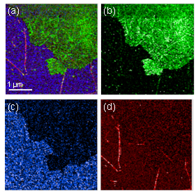 GO, SWCNTs and fullerenes C60 co-deposited on gold.