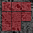 Macro-mapping with full sample coverage using DuoScan with motorized stage