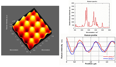 Holographic Gratings Inscribed on Polymer Thin Films