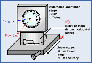 回転型サンプルホルダーの概略図