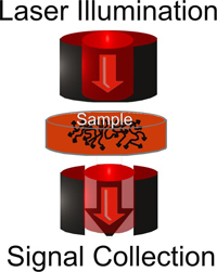 Transmission Raman Schematic