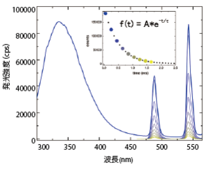 ウシ血清アルブミンと塩化テルビウム混合物のりん光減衰曲線と各時間におけるりん光スペクトルデータ