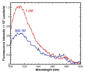 1pMと500fMのフルオレセインの蛍光スペクトルデータ