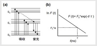 蛍光分子の電子状態と蛍光の減衰曲線