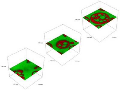 Expanded polymer beads