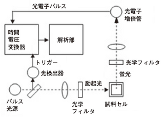 Figure 1　蛍光寿命測定装置例