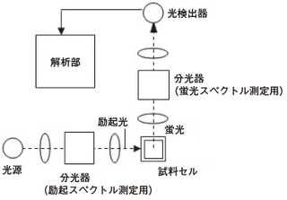 Figure 2　蛍光分光測定装置例