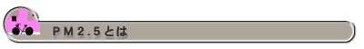 PM2.5とは