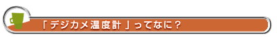 「デジカメ温度計」ってなに？ 