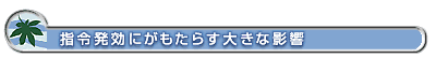 指令発効にがもたらす大きな影響