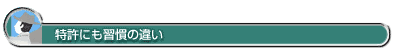 特許にも習慣の違い