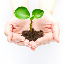 Environmental Policies