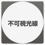 ヒトは、鈍化へと進化した。