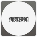 ヒトは、鈍化へと進化した。