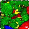 Raman Spectroscopy Imaging