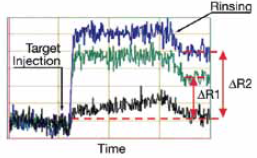 DNA-DNA 相互作用データ