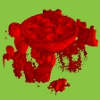 Raman Imaging Raman Imaging