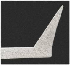 SEM image of the Ag coated OMNI TERS probes SEM image of the Ag coated OMNI TERS probes