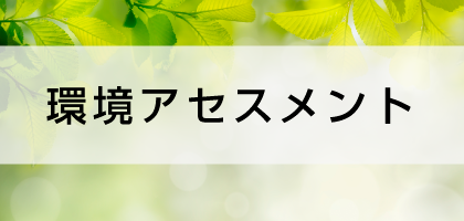 環境アセスメント 環境アセスメント