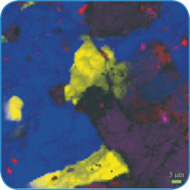 ラマンイメージ(鉱物) ラマンイメージ(鉱物)