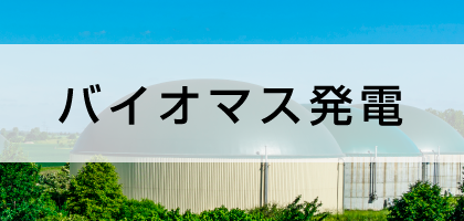 バイオマス発電 バイオマス発電