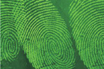 Latent Fingerprint Detection Latent Fingerprint Detection