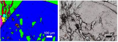 Rock Section Rock Section