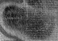 Untreated Oily Print on sticky side of Duct (Duck) tape