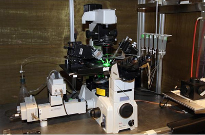 Simultaneous Ca++ Fluorescence and Patch Clamp Electrophysiology Research Simultaneous Ca++ Fluorescence and Patch Clamp Electrophysiology Research